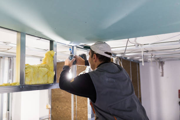 Best Insulation Contractor Near Me  in Kiryas Joel, NY
