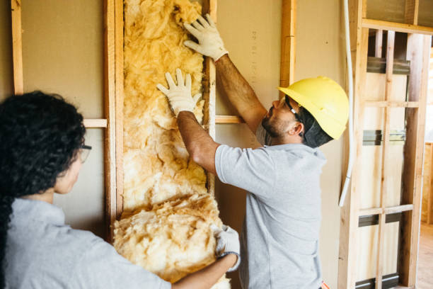 Best Crawl Space Insulation  in Kiryas Joel, NY